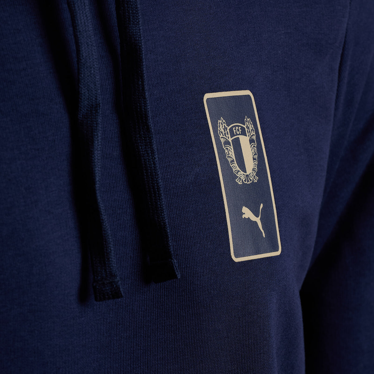 HOODY LINHA FAN PUMA 25-26